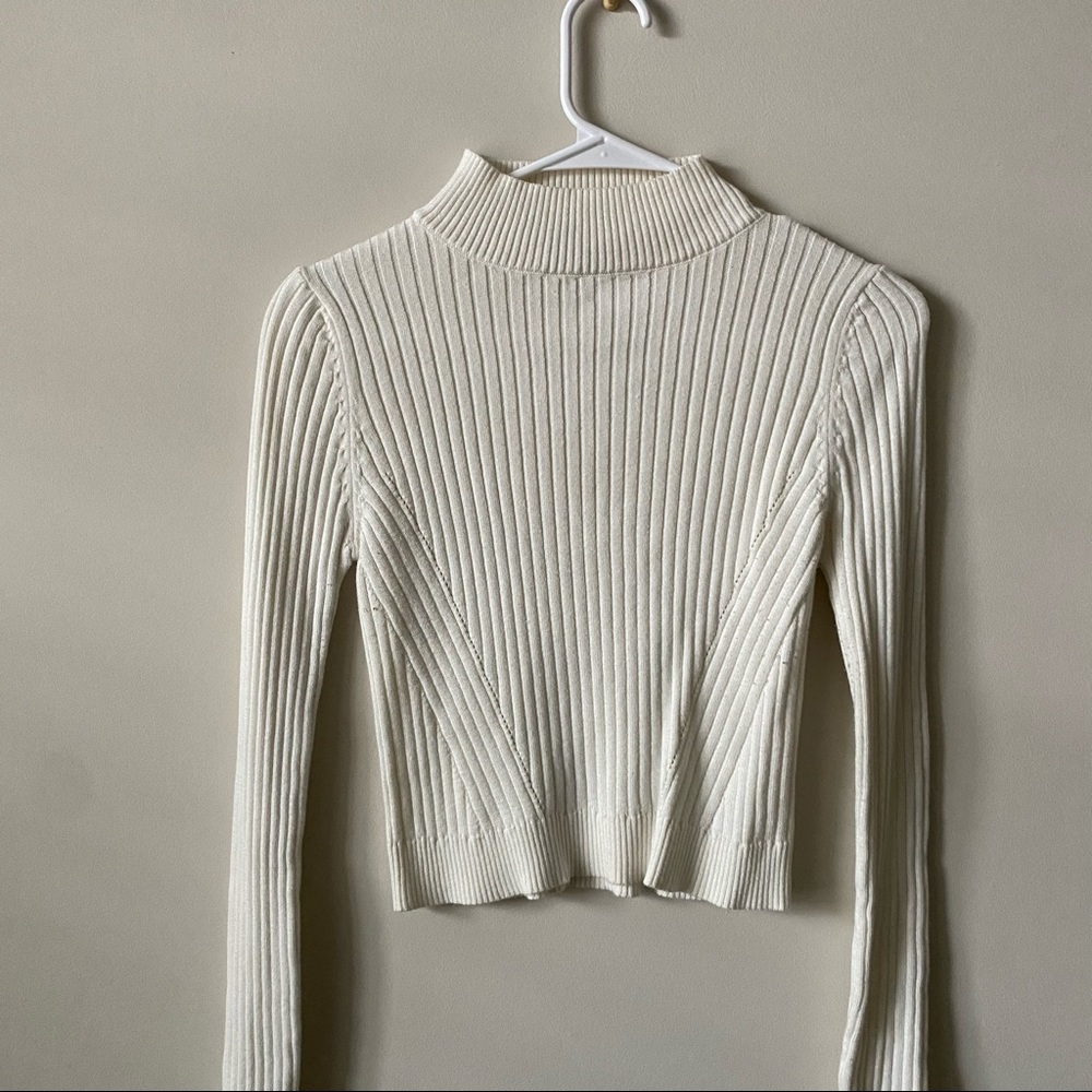 Lizard Thicket White Turtleneck - image 2